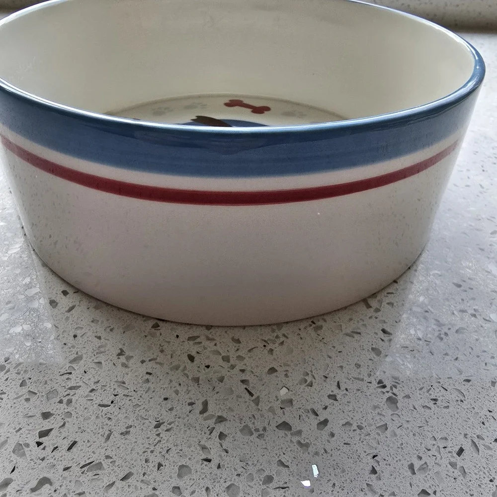 2006 Disney Pluto ‎ Dog, Popcorn, Cereal Bowl Ceramic 3 Inches Deep And